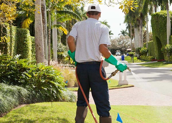 About Danese WV Pest Control